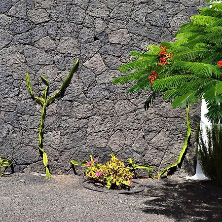 Grand Villa Famara Puerto Del Carmen 卡门港 外观 照片